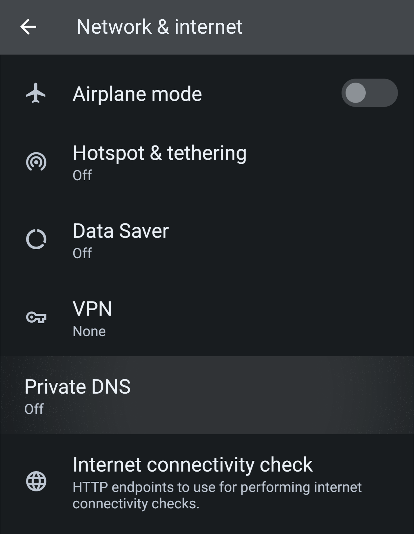 The Network & Internet section with &ldquo;Private DNS&rdquo; highlighted.