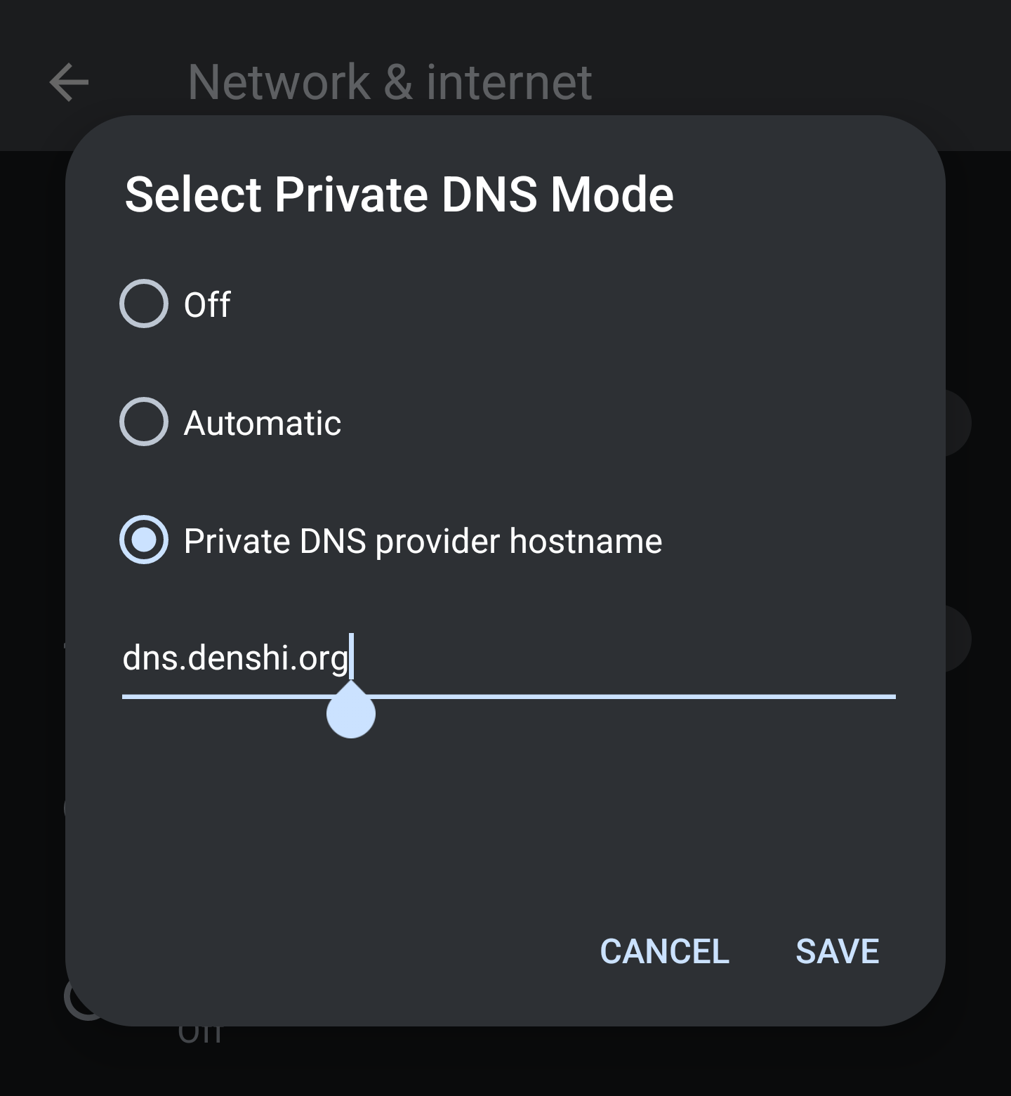 A popup window with &ldquo;dns.denshi.org&rdquo; typed into the server option.